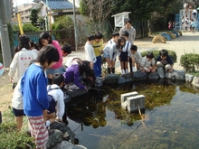 201003-ao6.jpg