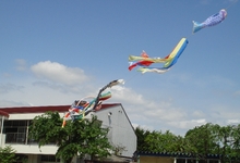 20100517-01.jpg