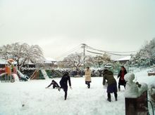 BL-20110117-05.jpg