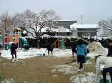 BL-20110117-08.jpg