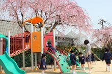 BL-20110413-01.jpg