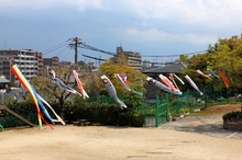 BL-20110421-01.jpg