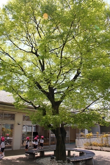 BL-20110421-02.jpg