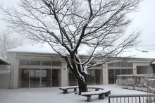 BL-20120202-01.jpg