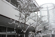 BL-20120202-04.jpg