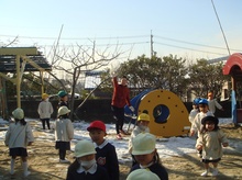 BL-20120203-03.jpg