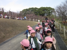 BL-20120308-22.jpg