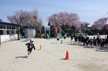 BL-20120410-02.jpg
