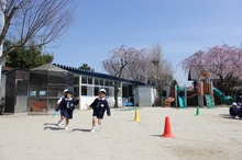 BL-20120410-03.jpg