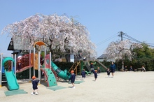 BL-20120418-02.jpg