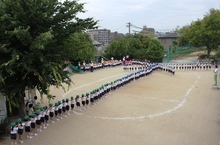 BL-20120605-08.jpg