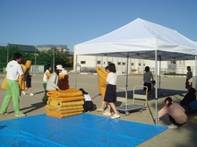 BL-20120609-01.jpg