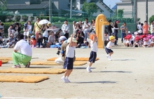 BL-20120609-05.jpg