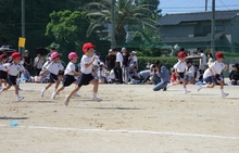 BL-20120609-06.jpg