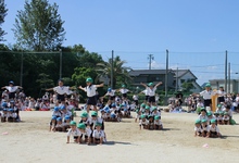 BL-20120609-11.jpg