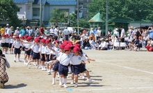 BL-20120609-19.jpg