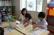 BL-20120614-05.jpg