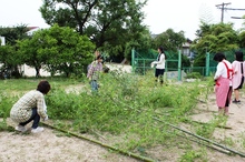 BL-20120705-12.jpg