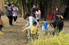 BL-20121025-11.jpg