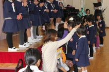 BL-20121114-01.jpg