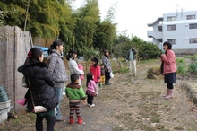 BL-20121217-01.jpg