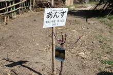 BL-20130312-10.jpg