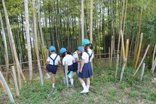 BL-20130605-01.jpg