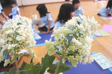 BL-20140616-11.jpg