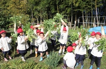 BL-20141202-17.jpgのサムネール画像