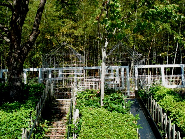 http://eiko-gakuen.ac.jp/blog/yagoto/DSC07814.JPG