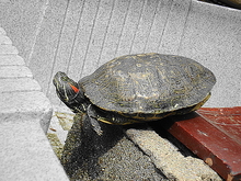 DSC07794.JPGのサムネール画像