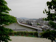 DSC07817.JPG