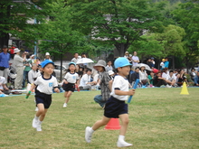 DSC07935.JPG