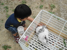 DSC08032.JPG