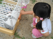 DSC08035.JPG