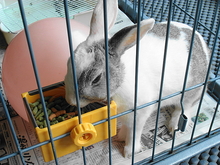DSC08041.JPG
