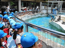 DSC08189.JPG
