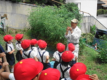 DSC08407.JPG