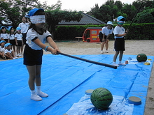 DSC08522.JPG