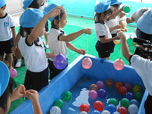 DSC08541.JPG