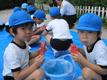 DSC08544.JPG