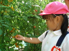 DSC08574.JPG
