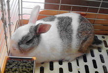 DSC08707.JPG