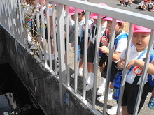 DSC08776.JPG