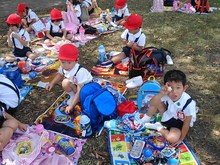DSC08785.JPG
