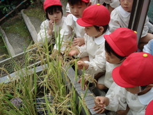 DSC08950.JPG