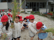 DSC08955.JPG