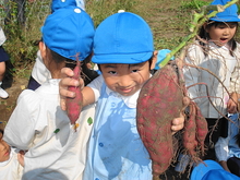 DSC09052.JPGのサムネール画像