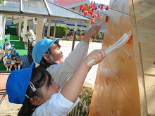 DSC09097.JPG