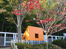 DSC09108.JPG